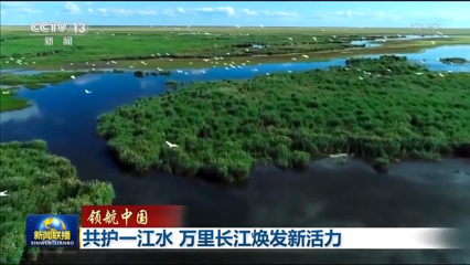 领航中国丨共护一江水 万里长江焕发新活力——水环境生态修复技术应用与展望