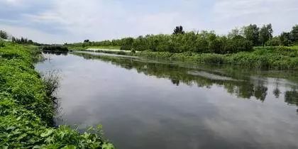 科技赋能碧水清流 北京生态修复学会等单位参观考察圣海林河道生态修复示范工程