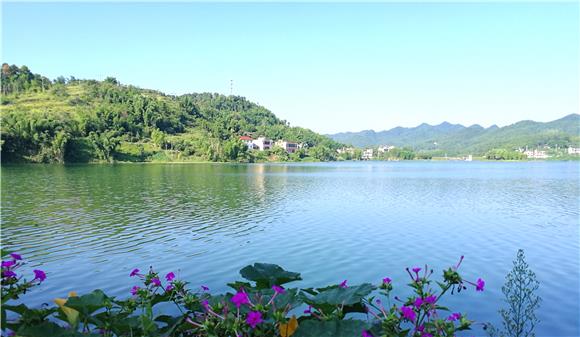 水生态修复技术 让铜梁水库重现“美丽容颜”