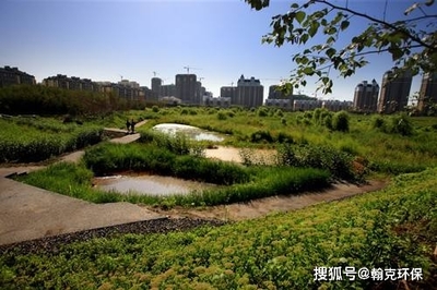 国外水生态保护与修复的主要方法