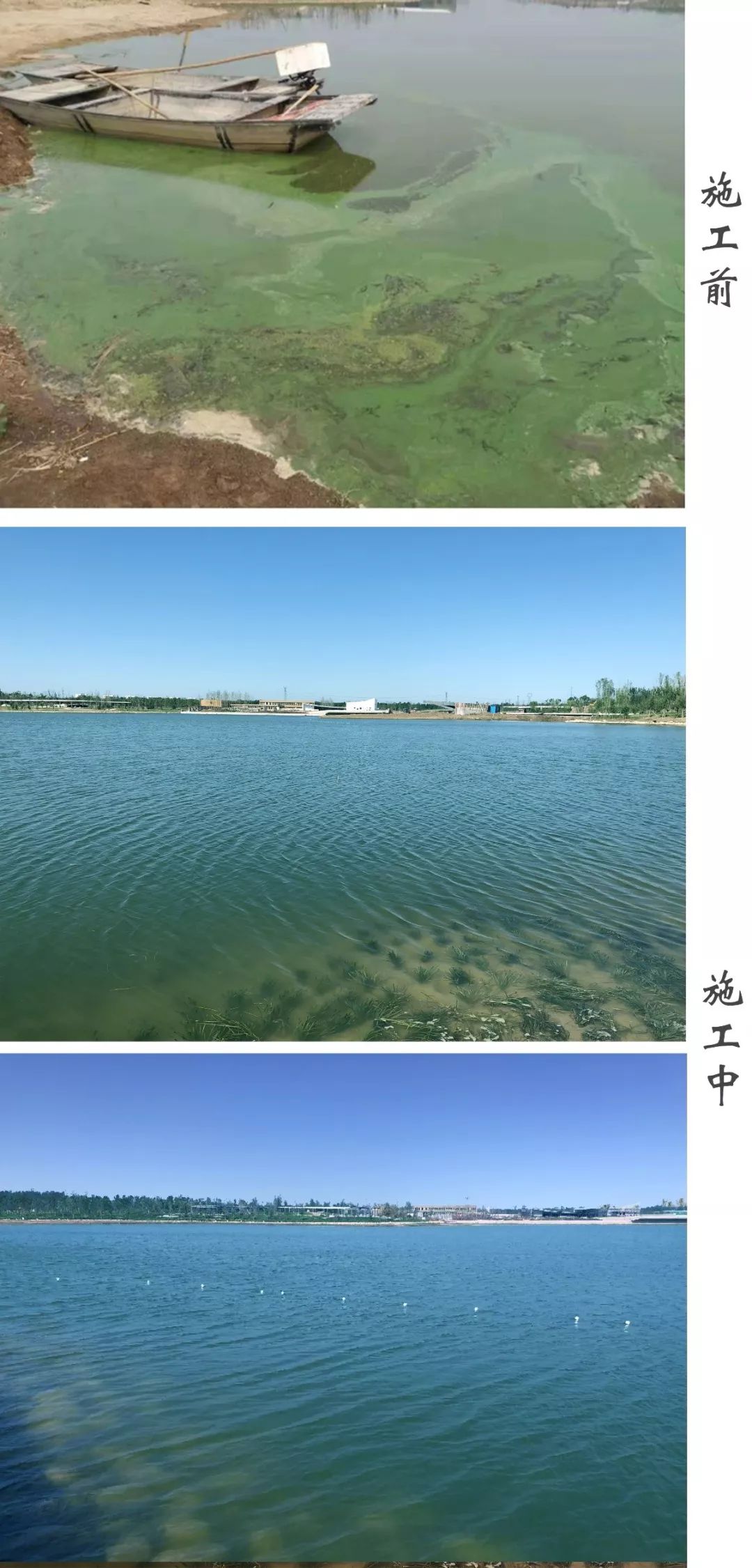 水韵新生 济宁凤凰台植物公园水生态专项工程践行水环境生态修复新路径